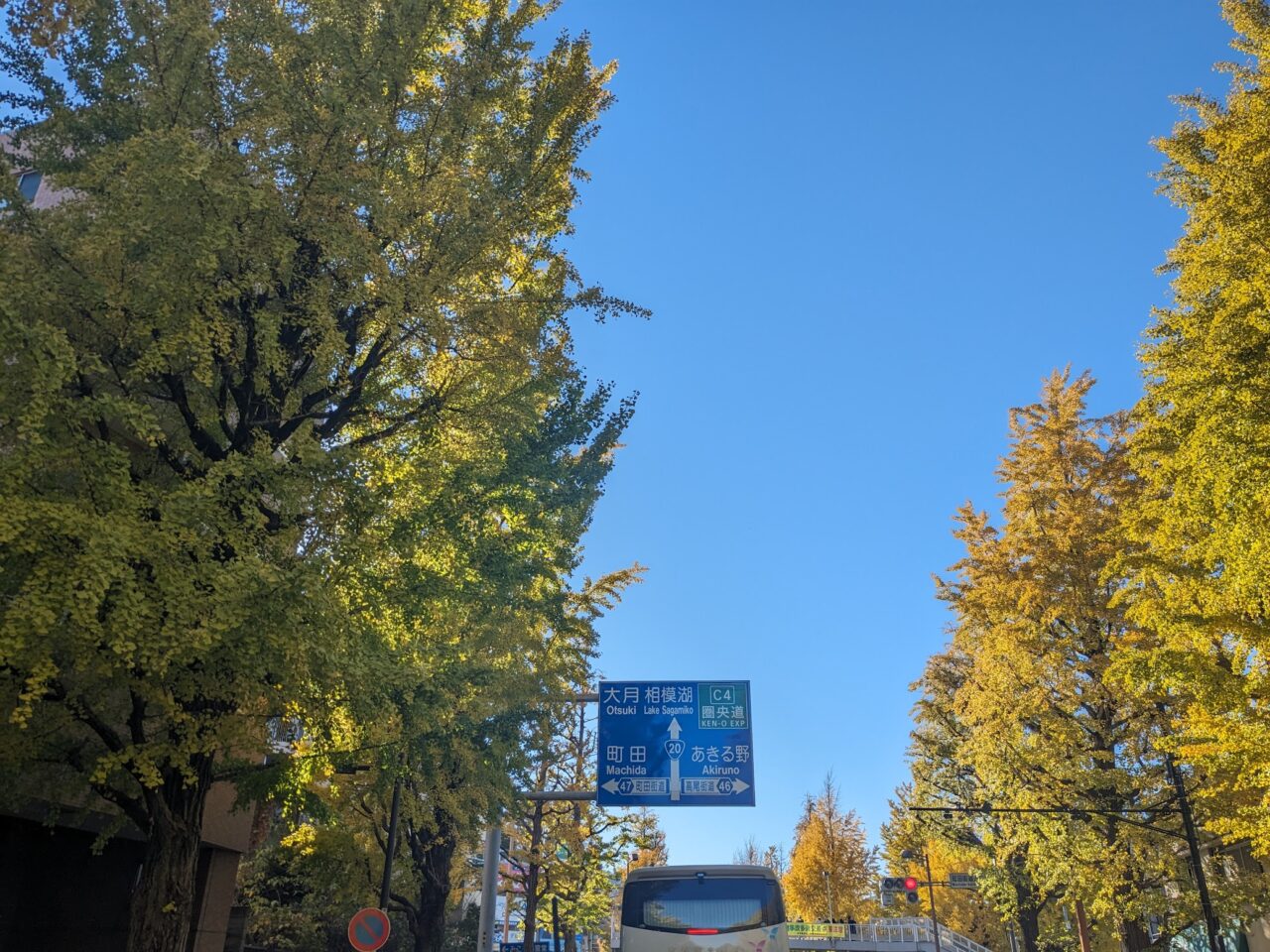 甲州街道