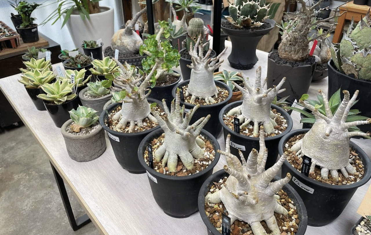 えきまえテラス