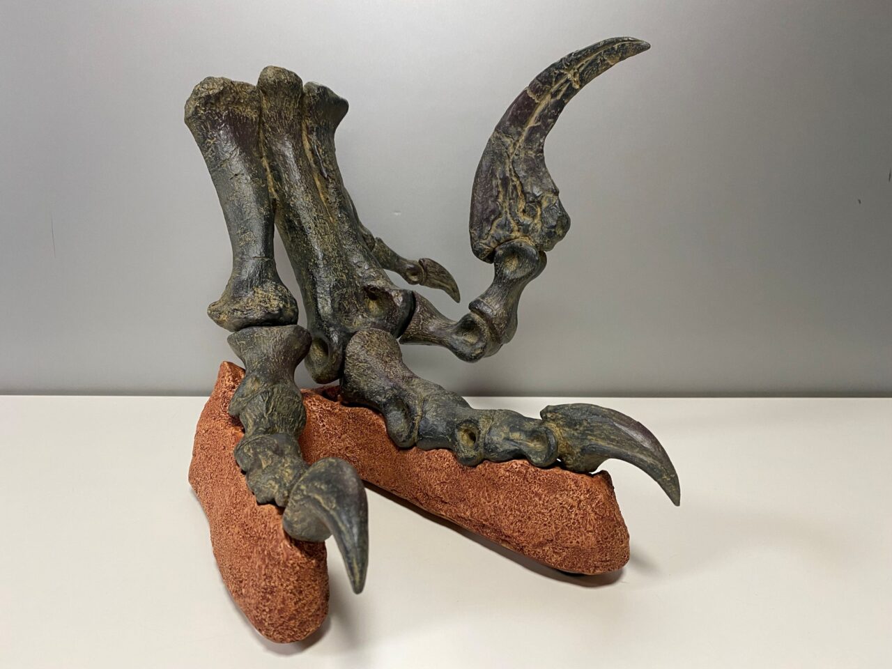 ユタラプトル脚