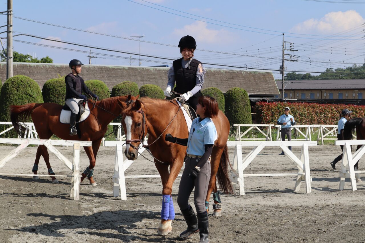 八王子乗馬クラブ