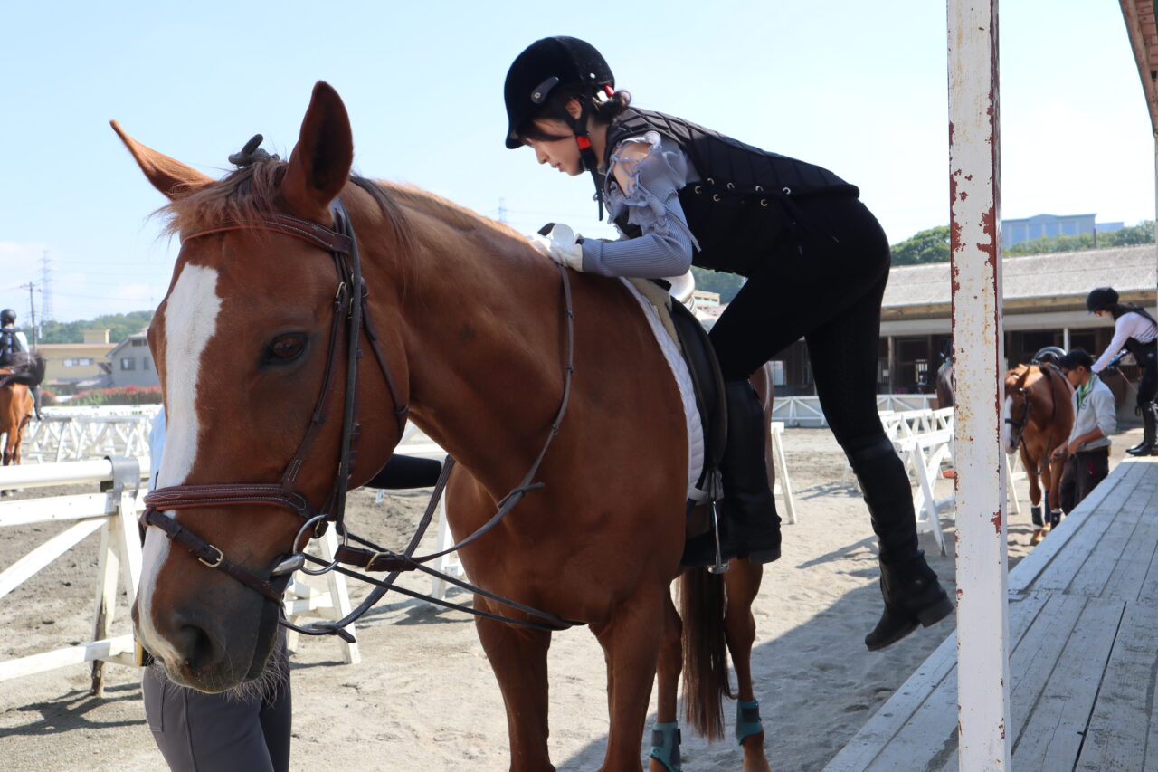 八王子乗馬クラブ