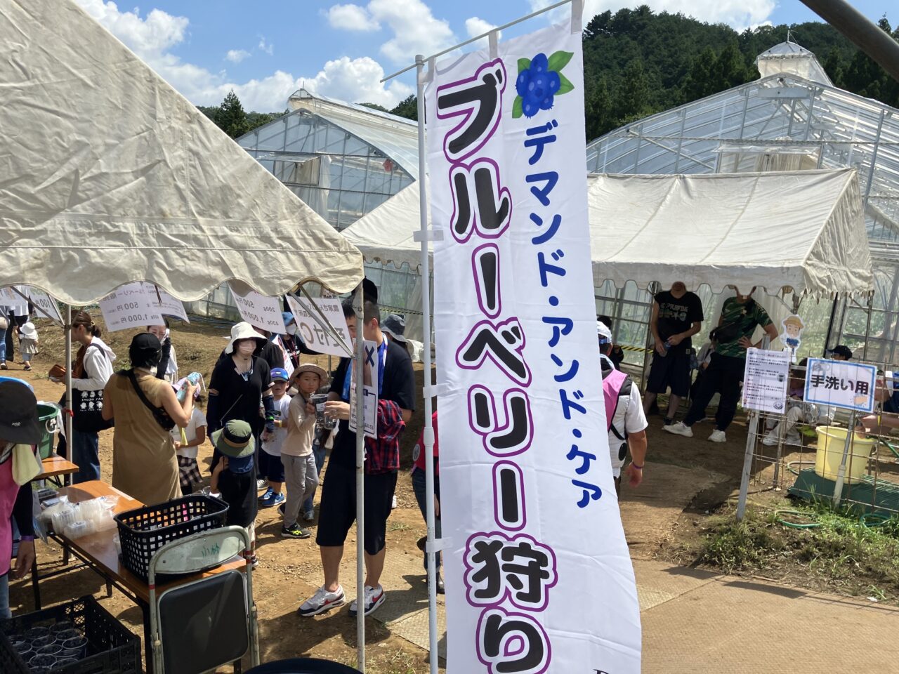 ブルーベリー