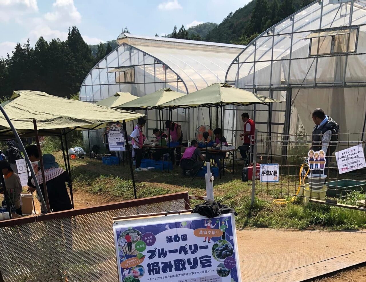 ブルーベリー