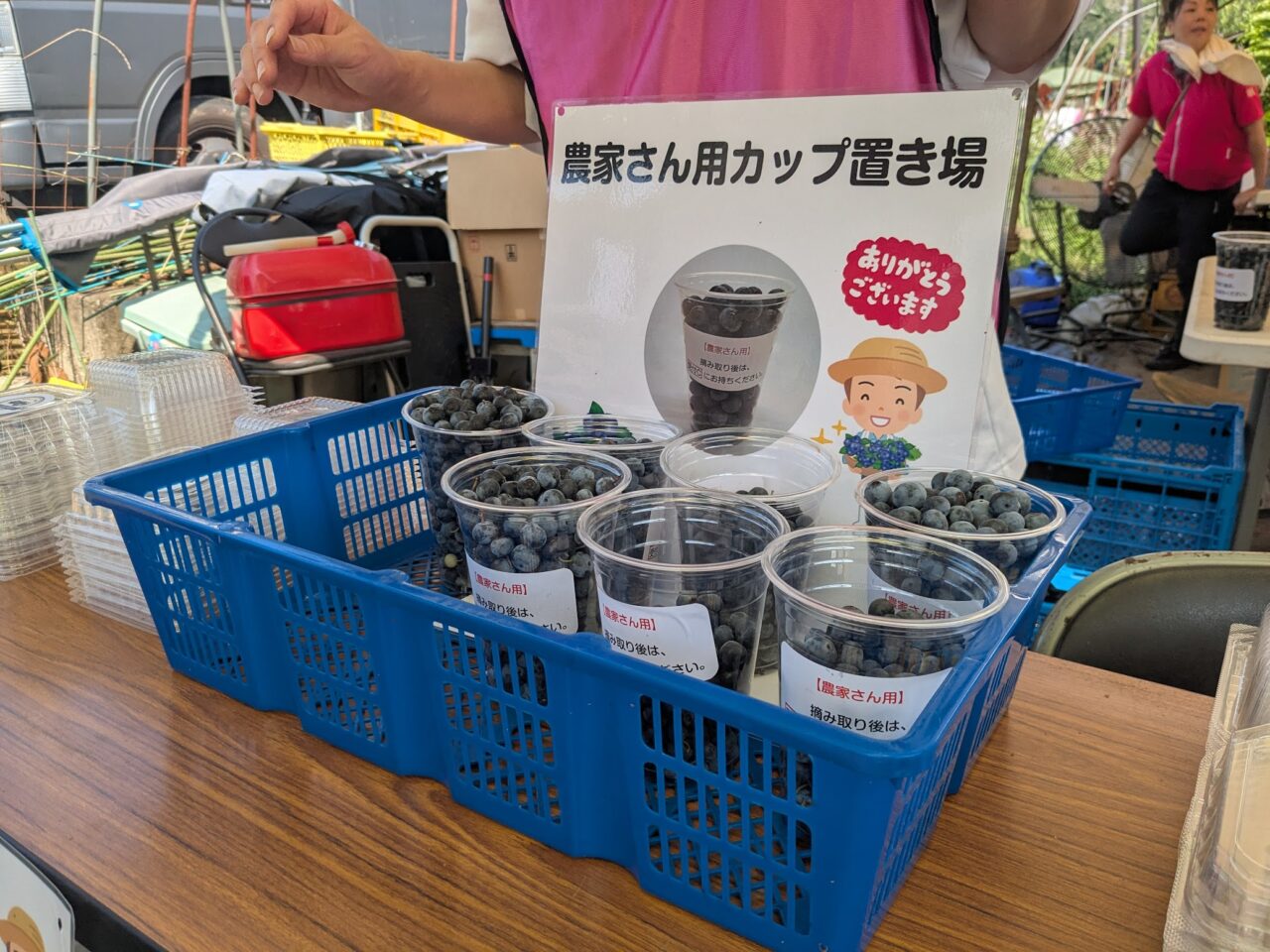 ブルーベリー