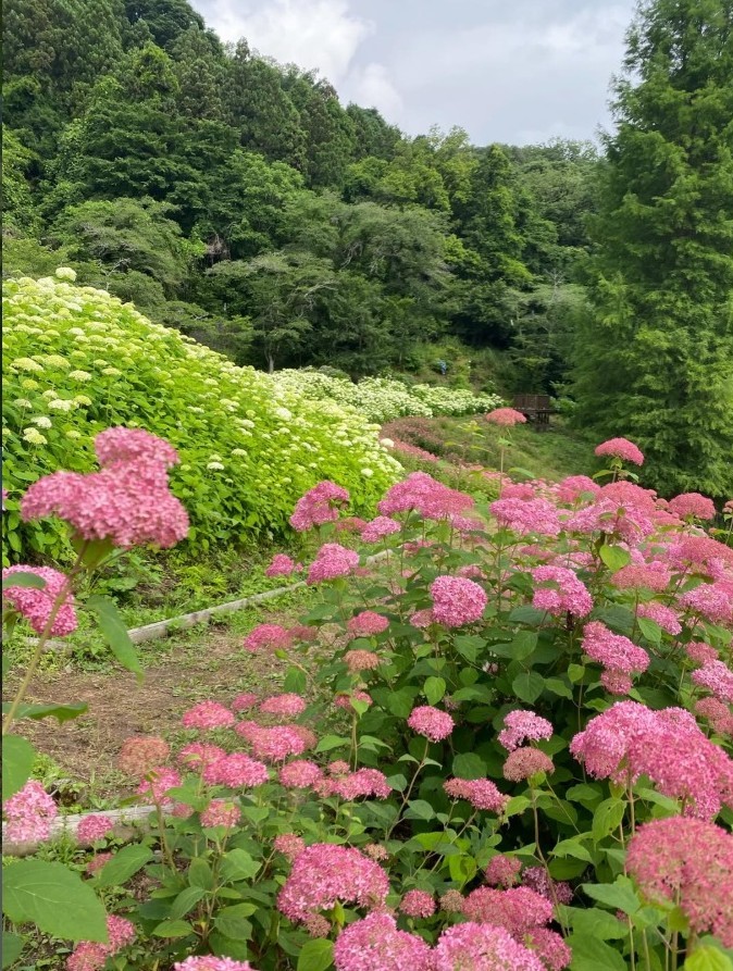 サマーランド