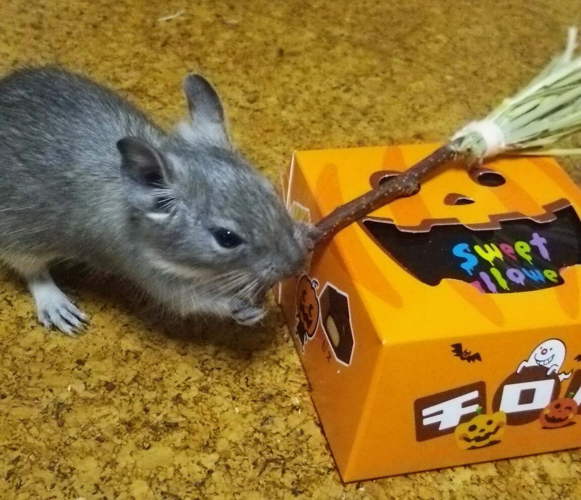 ワルツ