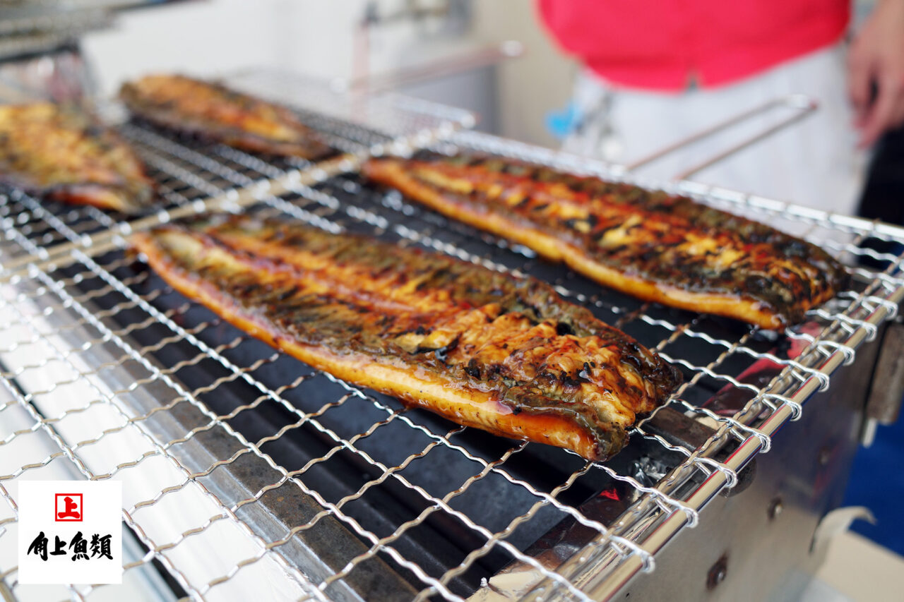 角上魚類