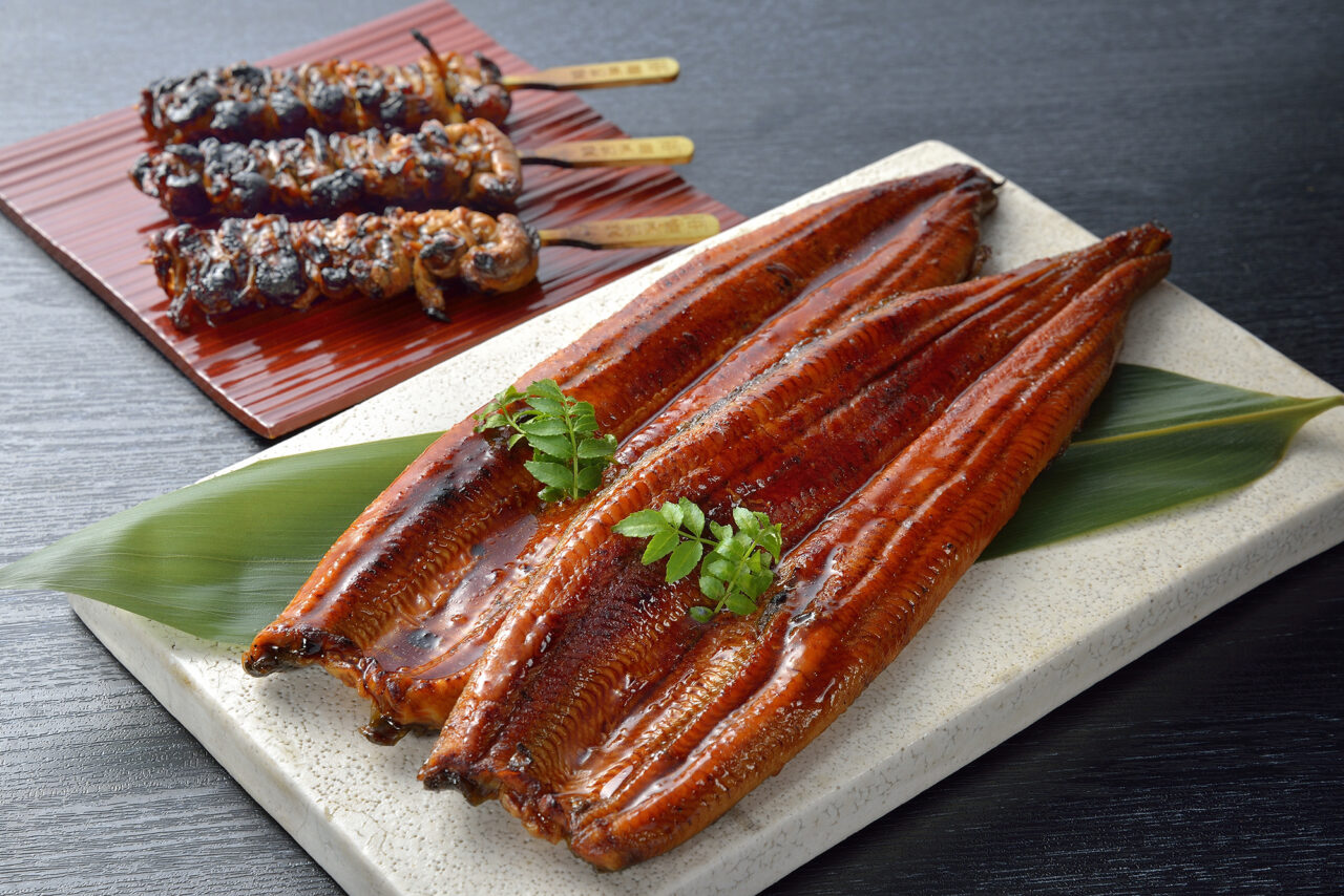 角上魚類