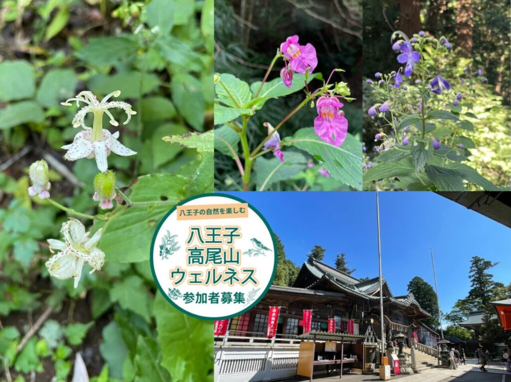 高尾山
