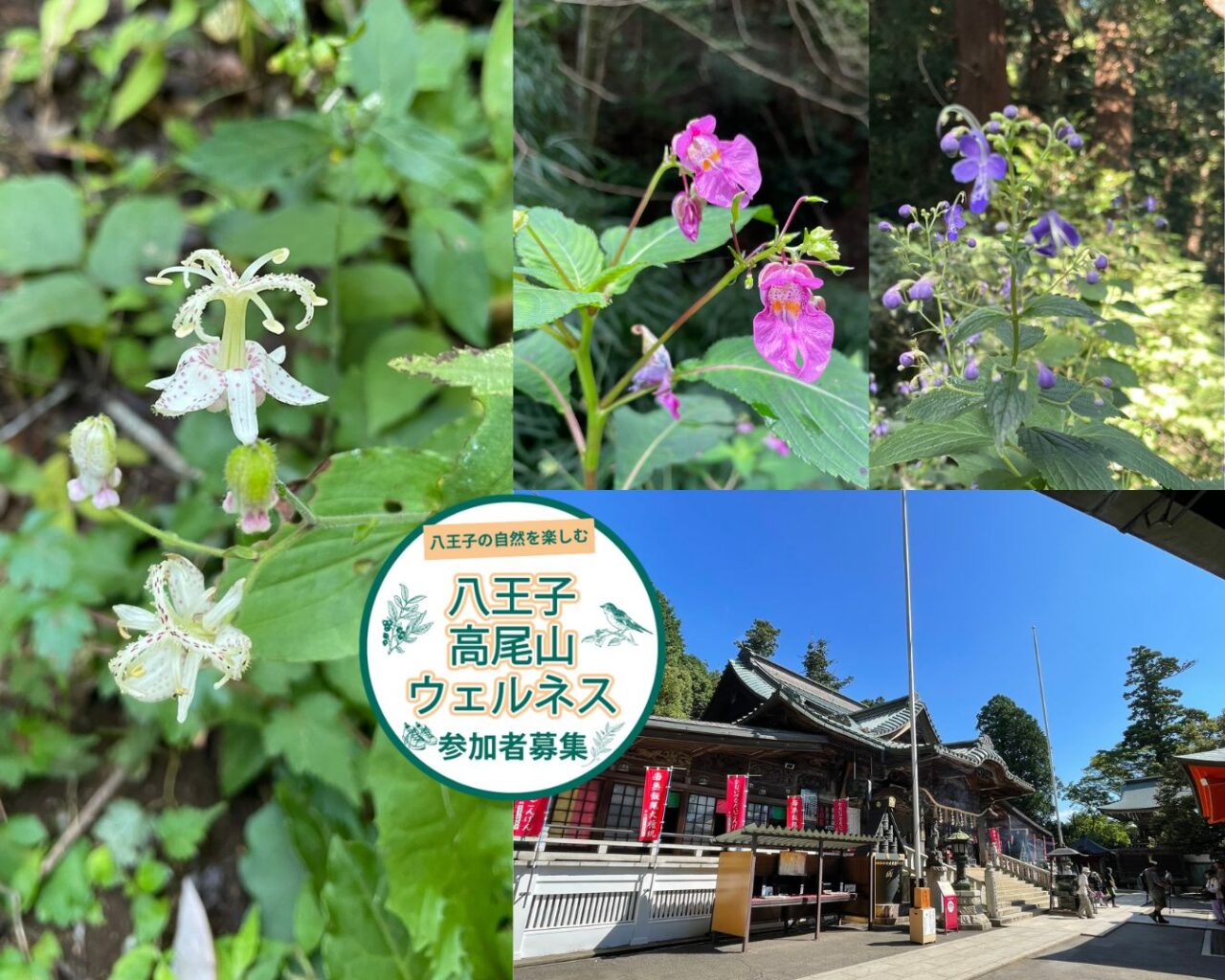 高尾山