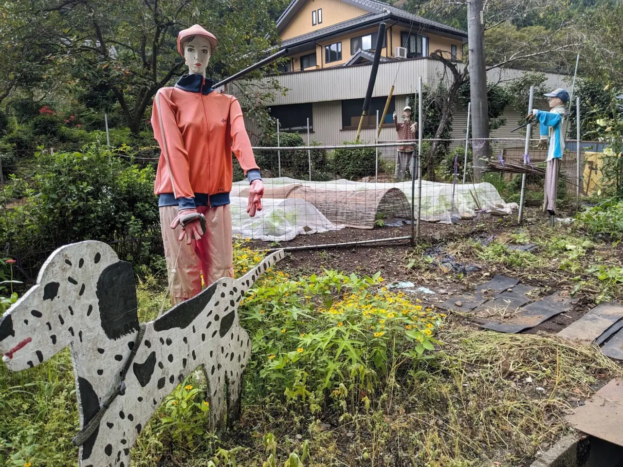 小津