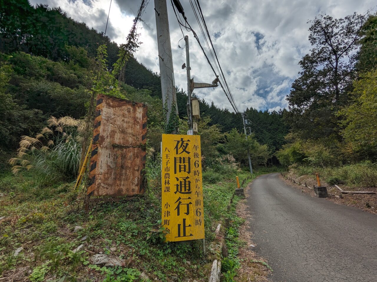 小津