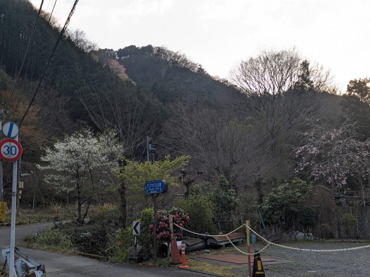小津
