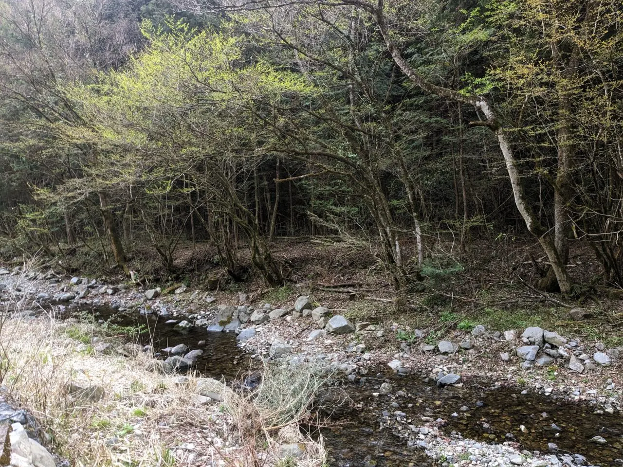 小津