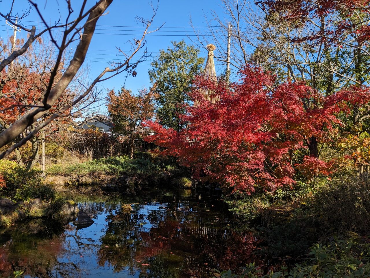 高尾駒木野庭園