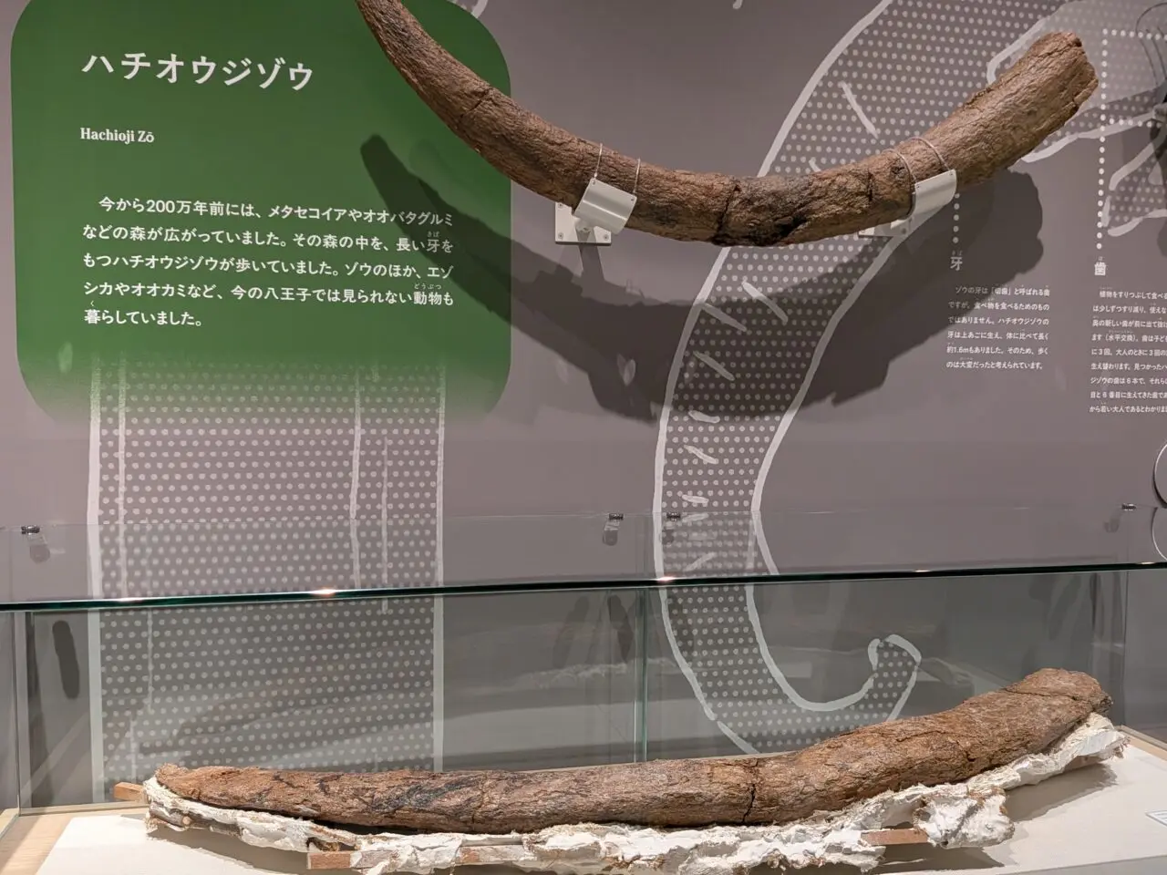 桑都の杜